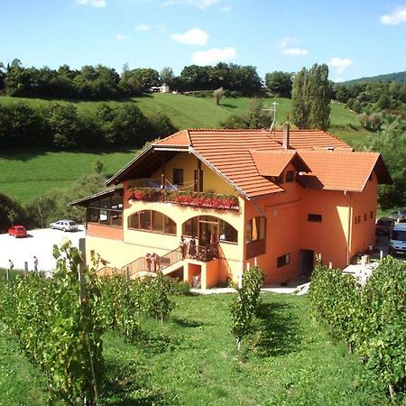 Klet Jana Bed & Breakfast Jastrebarsko Exteriér fotografie