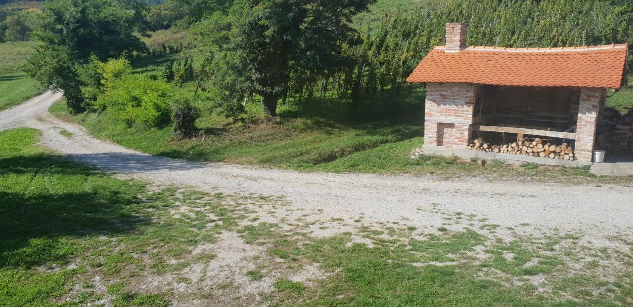 Klet Jana Bed & Breakfast Jastrebarsko Exteriér fotografie