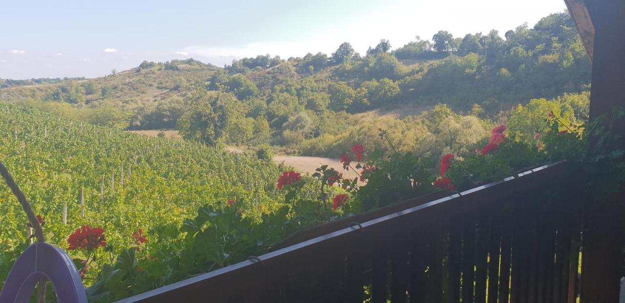 Klet Jana Bed & Breakfast Jastrebarsko Exteriér fotografie